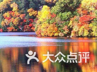 美联储“扭盈为亏”,都是它惹的祸