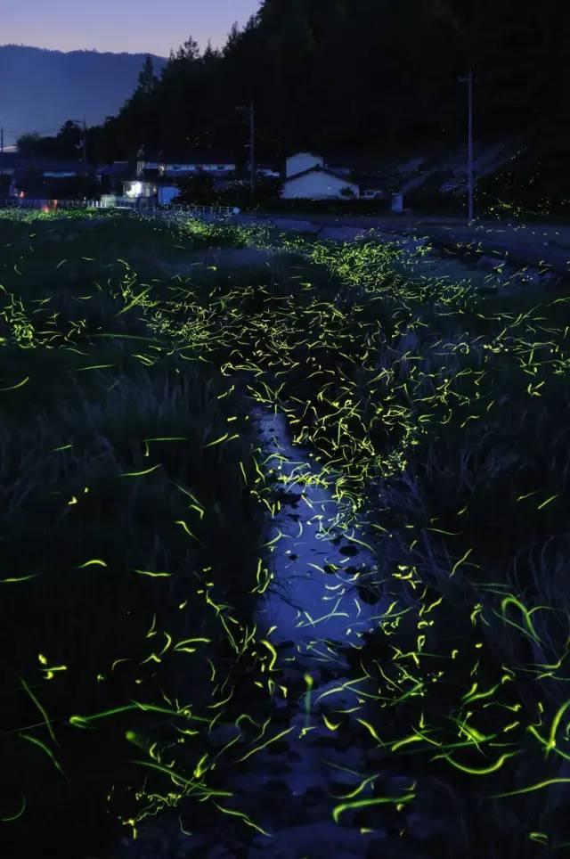 沪江开心词场