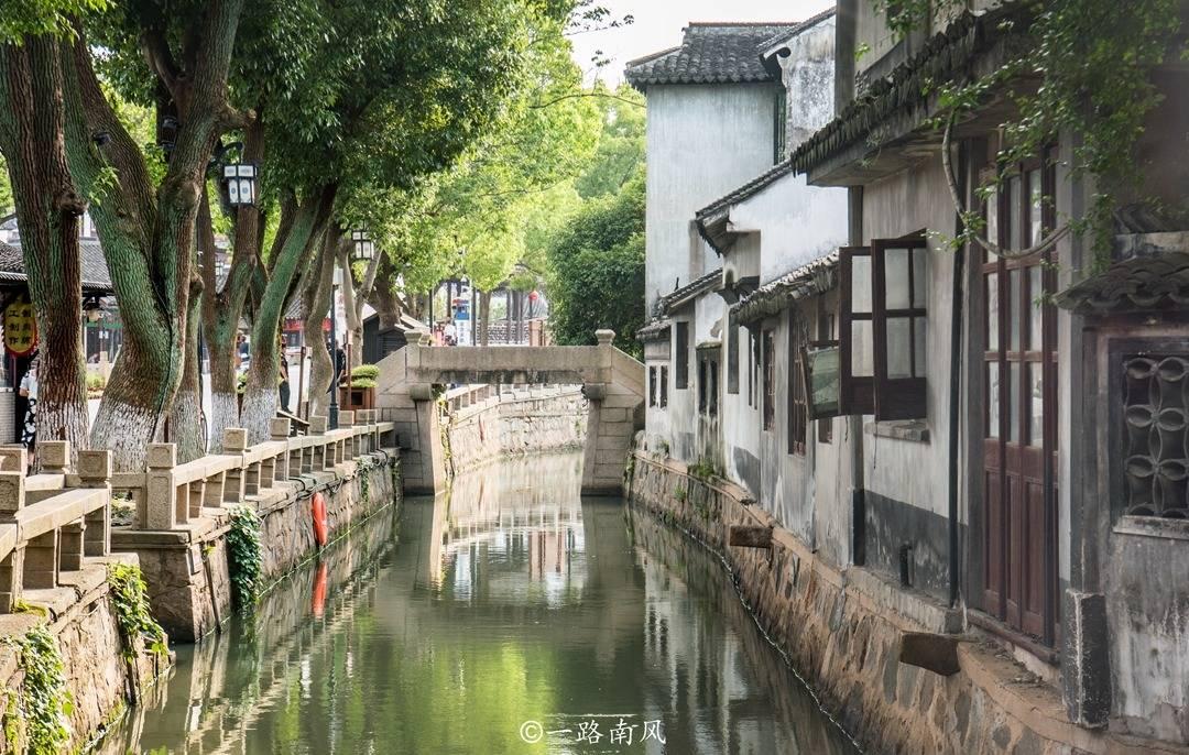 泡沫森林